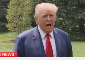 Trump Says He ‘Would’ Arrest Newsom If He Were Homan