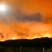 California Dems Blame Wildfires On Trump After Their Party Created Tinderbox Of Regs