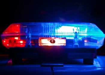EXCLUSIVE: Union Tied To Anti-ICE Riots Hired Child Molester To Top Local Chapter Role