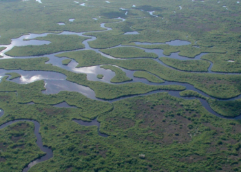 Trump Admin Green-Lights Migrant Detention Facility Guarded By Alligators