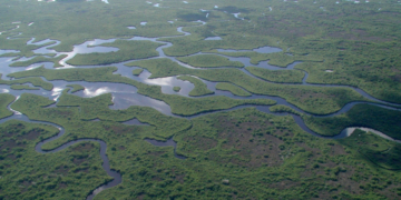 Trump Admin Green-Lights Migrant Detention Facility Guarded By Alligators