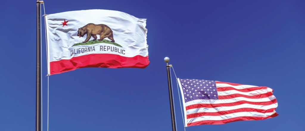 How Well-Funded, Organized Leftists Helped Jumpstart LA Riots