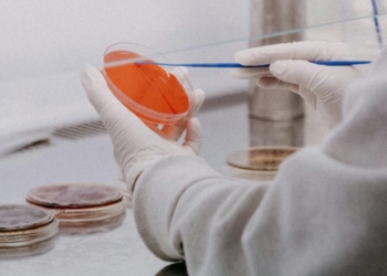 ‘It’s A Good Start’: Trump’s NIH Takes Step To Hold Risky Research Labs Accountable