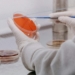 ‘It’s A Good Start’: Trump’s NIH Takes Step To Hold Risky Research Labs Accountable