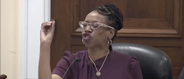 ‘Keep Dr. King’s Name Out Of Your Mouth!’: Dem Rep Blows Her Top At GOP Witnesses For Quoting Iconic American