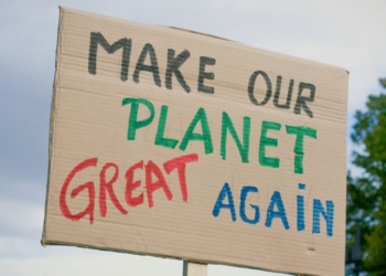 Legacy Green Group Reportedly Axes More Staff As Trump Takes Torch To Climate Agenda