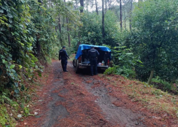 Mexican Mayor Exposes Cartel Training Camp with Colombian Terrorists