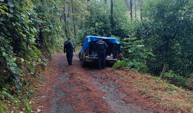 Mexican Mayor Exposes Cartel Training Camp with Colombian Terrorists