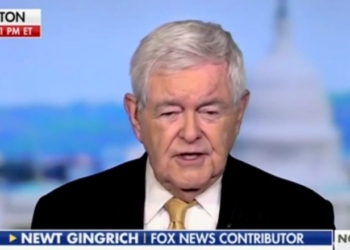 NEWT GINGRICH: Do We Really Want Waste And Fraud In Medicaid?