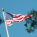 SEN. STEVE DAINES AND REP. STEVE WOMACK: Congress Should Be Able To Ban Flag Burning