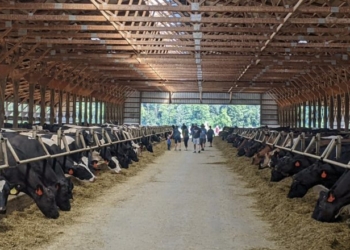 White Wisconsin Dairy Farmer Sues USDA For Holding Out On Axing Biden-Era DEI Programs
