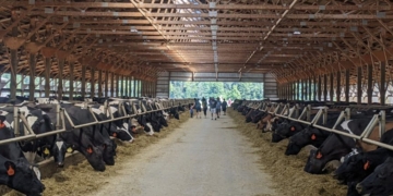 White Wisconsin Dairy Farmer Sues USDA For Holding Out On Axing Biden-Era DEI Programs
