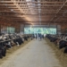 White Wisconsin Dairy Farmer Sues USDA For Holding Out On Axing Biden-Era DEI Programs