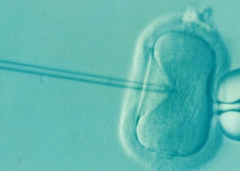 ‘You Can Even Name Your Embryo’: Genetics Startup Sells Test To Rank Embryos By IQ, Height And Looks