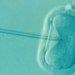 ‘You Can Even Name Your Embryo’: Genetics Startup Sells Test To Rank Embryos By IQ, Height And Looks