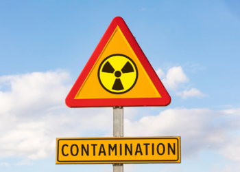 Radioactive Wasp Nest Found at Former Nuclear Bomb Manufacturing Site