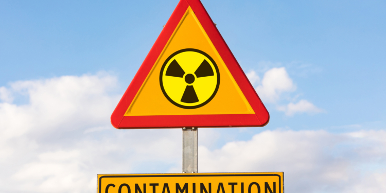 Radioactive Wasp Nest Found at Former Nuclear Bomb Manufacturing Site