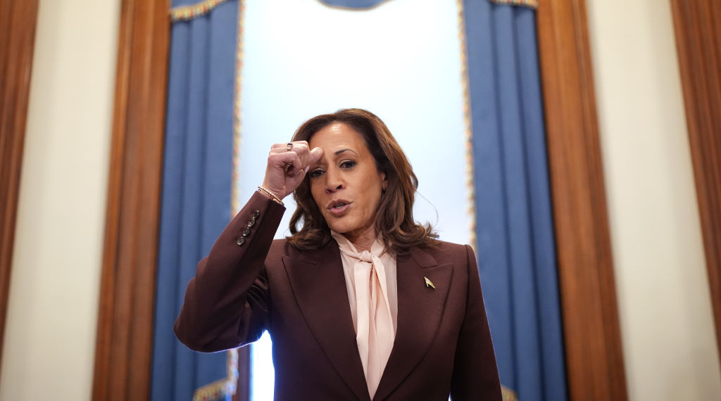 Kamala Harris Anniversary Post Raises Eyebrows