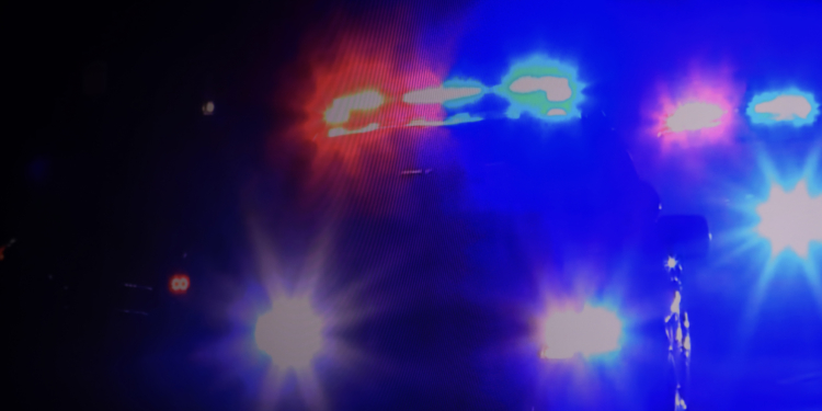 Wisconsin Man Sentenced to 26 Years to Life for Killing Grandmother Who Found His Gun