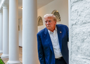 Trump Answers Questions About Gabbard Report