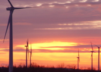 Blue State Caves On Green Energy Goal After Trump‘s Wind Crackdown