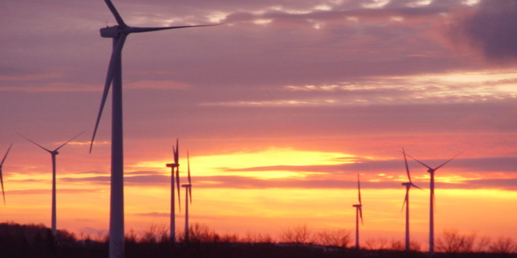 Blue State Caves On Green Energy Goal After Trump‘s Wind Crackdown