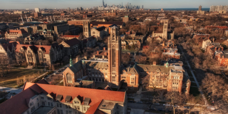 Professor Admits She Only Works At University To ‘Build Power,’ Advocate For Palestine