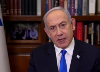 Republican Rep Randy Fine Says People In Gaza Can ‘Starve Away’ Until Hostages Are Released