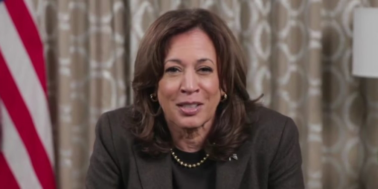 ‘She Comes With Baggage’: California House Dems Split On Possible Kamala Harris Comeback