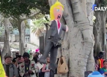 Some Liberals Would Apparently Rather Protest Trump Than Celebrate America On July 4