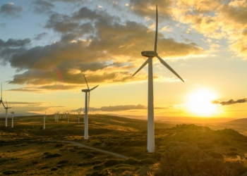 Trump Halts Preferential Treatment For ‘Unreliable, Foreign-Controlled’ Wind Energy