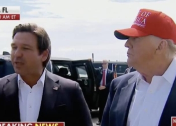 Trump Warm To DeSantis’ Idea For Using National Guardsmen As Immigration Judges At Alligator Alcatraz