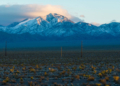Dozens of Piles of Human Ashes Discovered in Nevada Desert, Feds Investigating