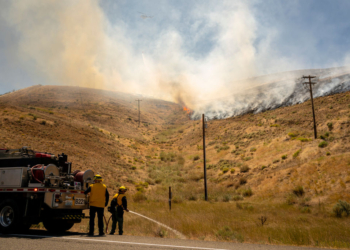 Border Patrol Detains Firefighters at Washington Wildfire Site, Prompting Outrage