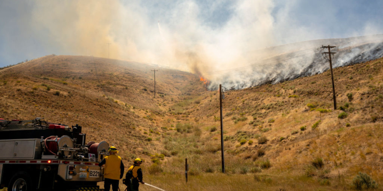 Border Patrol Detains Firefighters at Washington Wildfire Site, Prompting Outrage