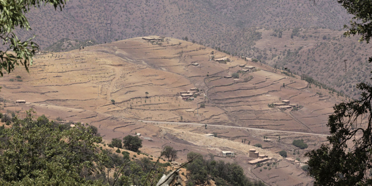 Feminist on Trial for Blasphemy Denied Release Amid Cancer Battle