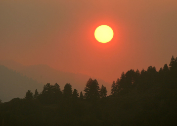 Woman Found Dead In National Forest Amid Husband Fleeing To Peru
