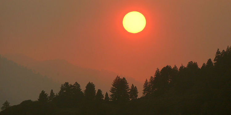 Woman Found Dead In National Forest Amid Husband Fleeing To Peru