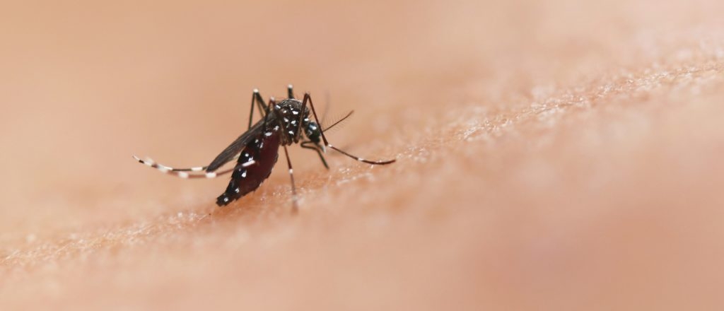 Another Virus Rattling China Puts America On Red Alert