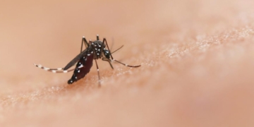 Another Virus Rattling China Puts America On Red Alert