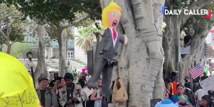 Dem Voters Snub ‘Irrelevant’ DNC In Favor Of Far-Left ‘No Kings’, Party Activist Says