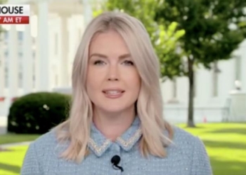 Karoline Leavitt Reveals How Many Illegal Immigrants Were Arrested In Just 1 Night Amid DC Crackdown
