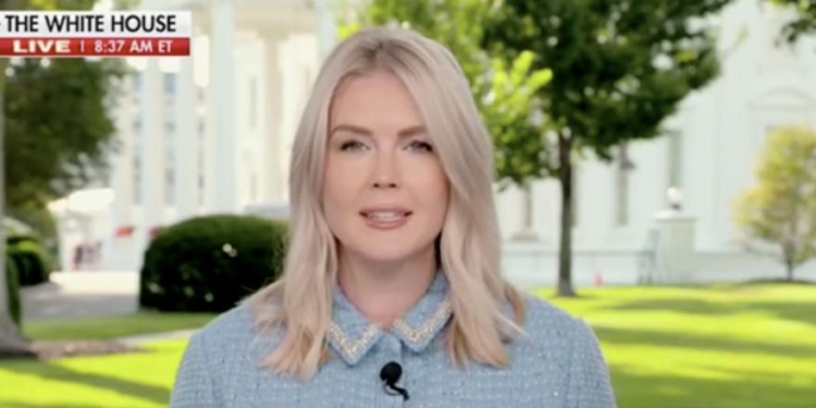 Karoline Leavitt Reveals How Many Illegal Immigrants Were Arrested In Just 1 Night Amid DC Crackdown