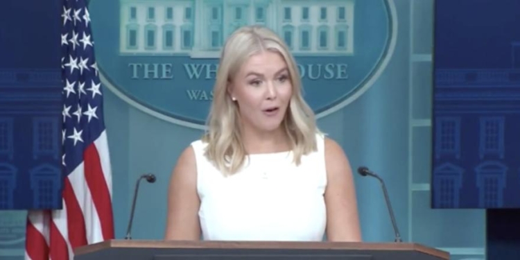 Karoline Leavitt Shreds NYT Reporter To His Face Over Question About Trump, Putin