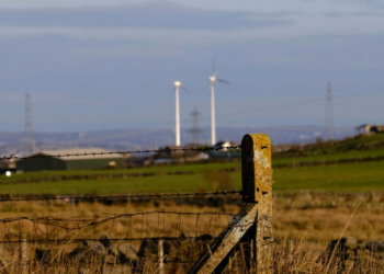 Trump Admin Probing Imported Wind Turbines Over National Security Concerns