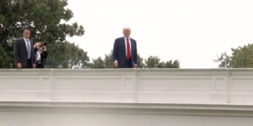 Trump Proves Yet Again He Will Take Questions From Anywhere—Even The White House Roof