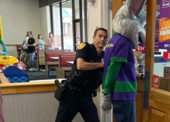 ‘We’re Gonna Detain the Mouse’: Florida Man in Chuck E. Cheese Costume Arrested for Credit Card Theft