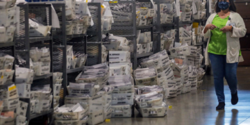 Woman Charged for Illegally Registering Her Dog to Vote in 2 Elections: DOJ