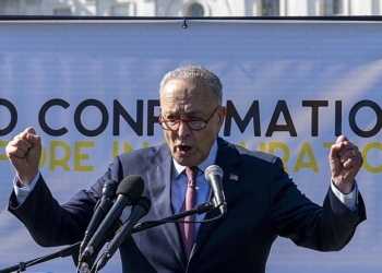 Ditching Chuck Schumer Seems To Be Common Thread Among Many Democrats Running For Senate