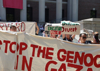 Harvard Blamed Jewish Victim Assaulted At Campus Protest, House Committee Alleges